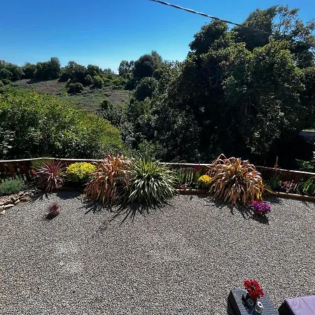 Rose Bed & Breakfast