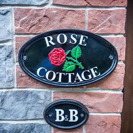 Rose Swords